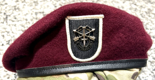 Army special forces - us,