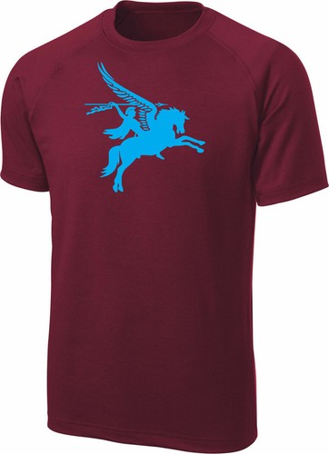 The parachute regiment - parachute, regiment,para