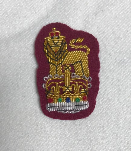 Staff officer para - staff,
