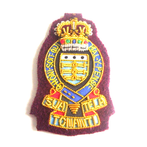 Raoc wo1 officer para - ,